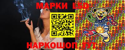 ECSTASY Новозыбков