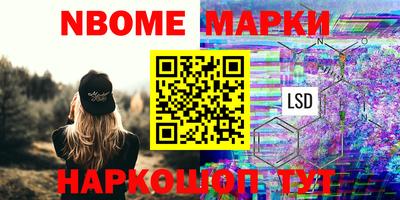 стаф Новокубанск