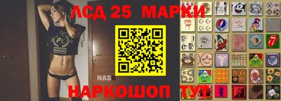 стаф Новокубанск