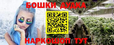 ECSTASY Новозыбков