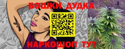 стаф Новокубанск