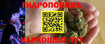 ECSTASY Новозыбков