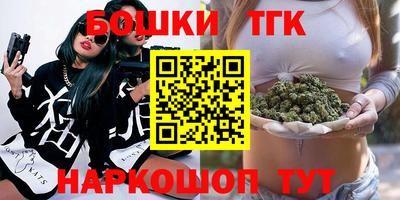 стаф Новокубанск